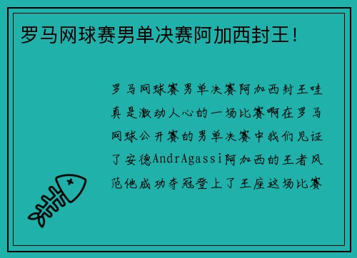 罗马网球赛男单决赛阿加西封王！